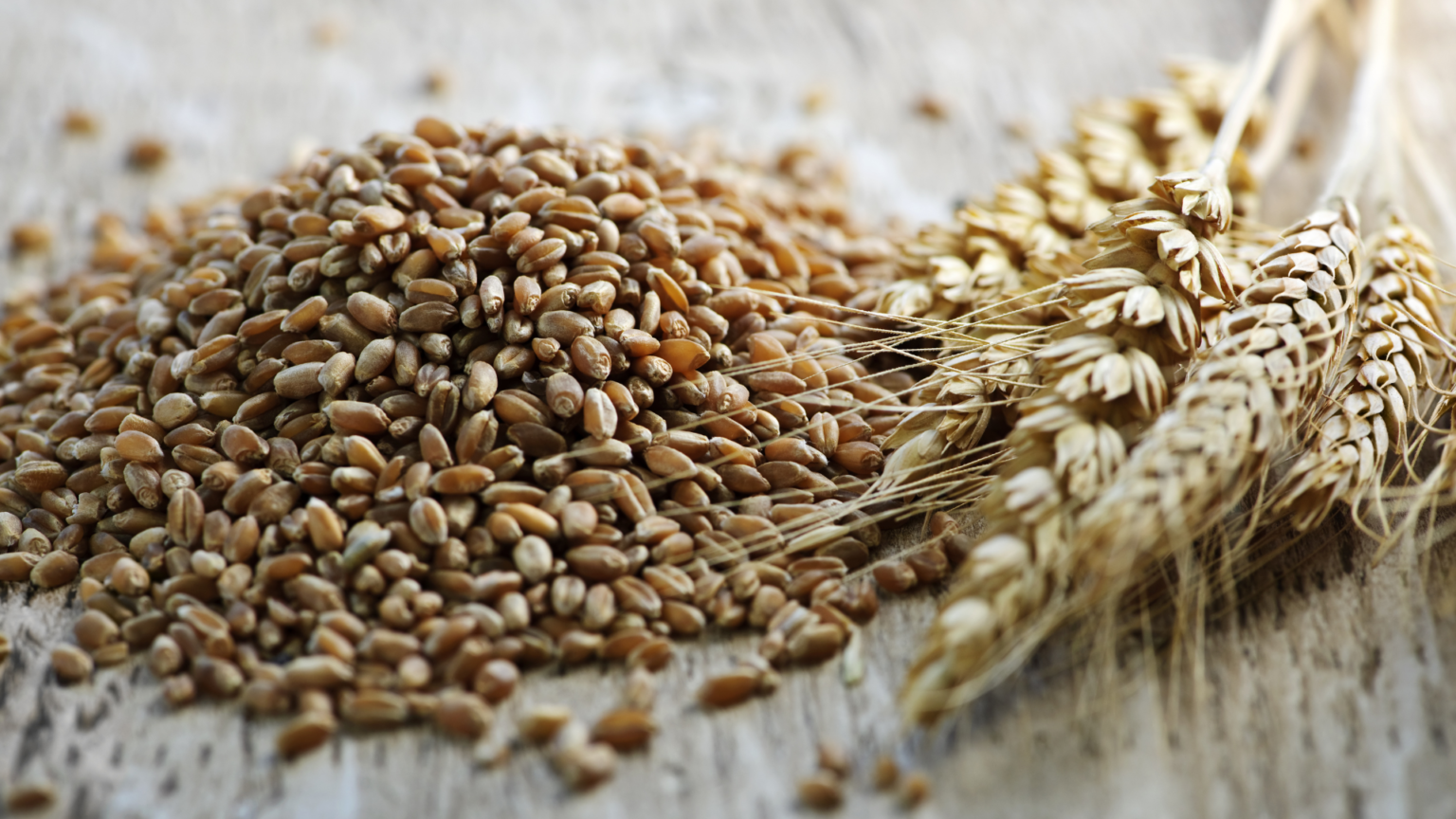 Wholesome Grains
